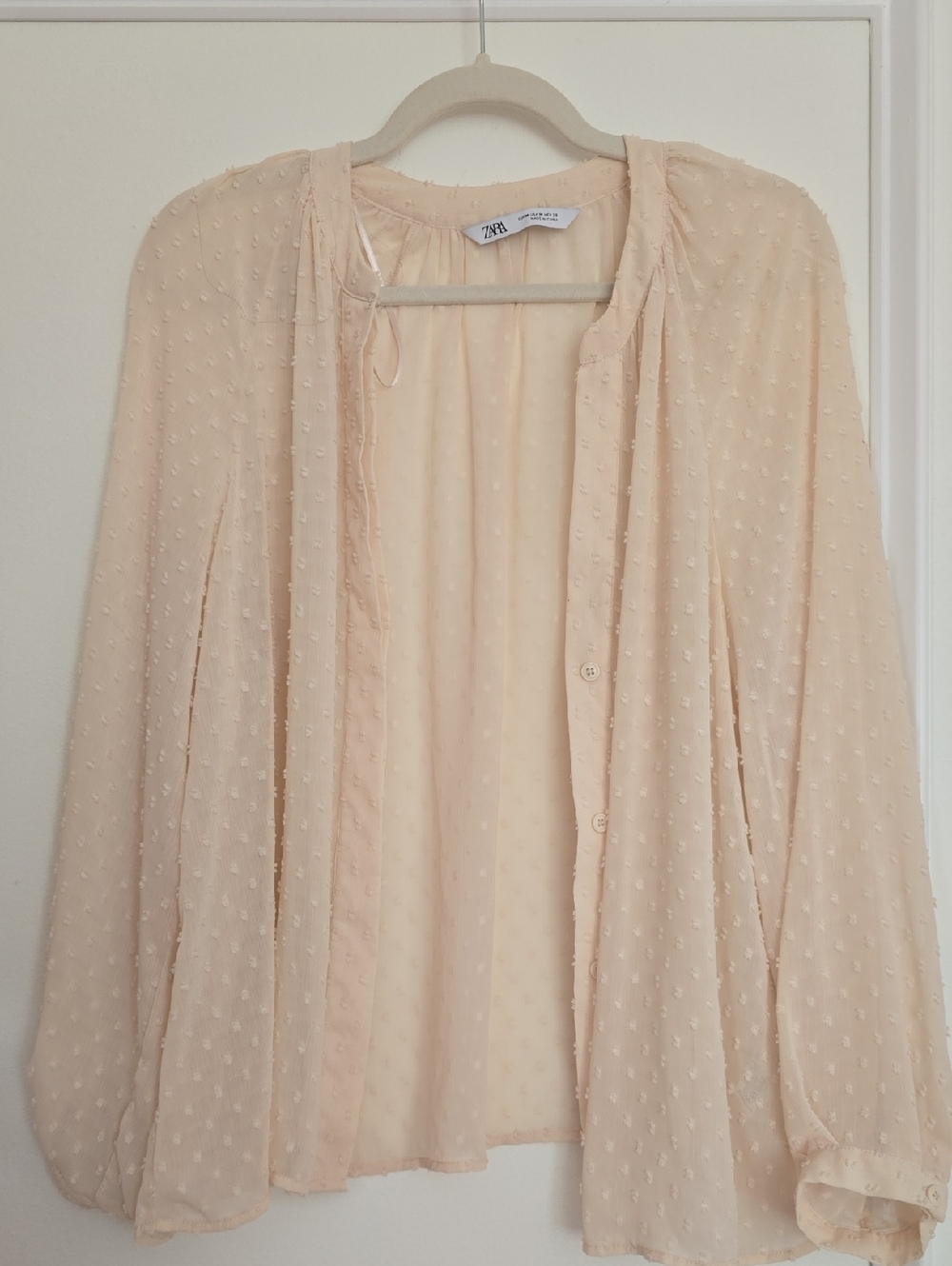 Zara Sheer Swiss Dot Button-Front Blouse in Pale Peach